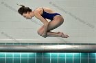 Maddy Morrison  Wheaton College Women's diver Maddy Morrison competes against Babson College, January 11, 2020. - Photo By: KEITH NORDSTROM : Wheaton, Swimming, Maddy Morrison